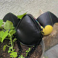 Dewdrop Wristlet